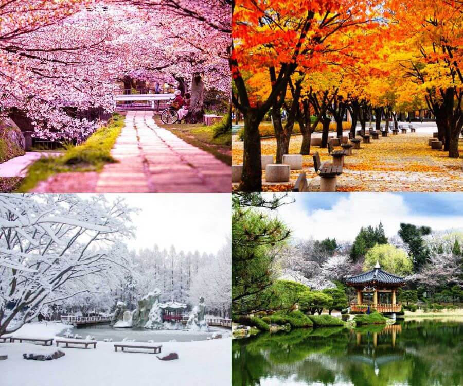 Vẻ đẹp của Nami biến đổi theo từng mùa, mang đến những trải nghiệm khác nhau cho du khách