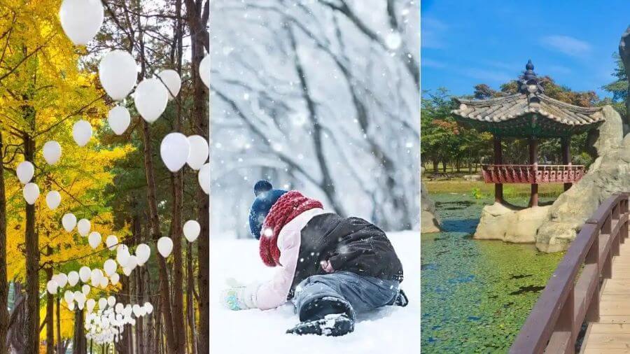 Mỗi mùa đảo Nami mang một vẻ đẹp riêng khiến bất kỳ ai khi đặt chân đến đây đều yêu thích