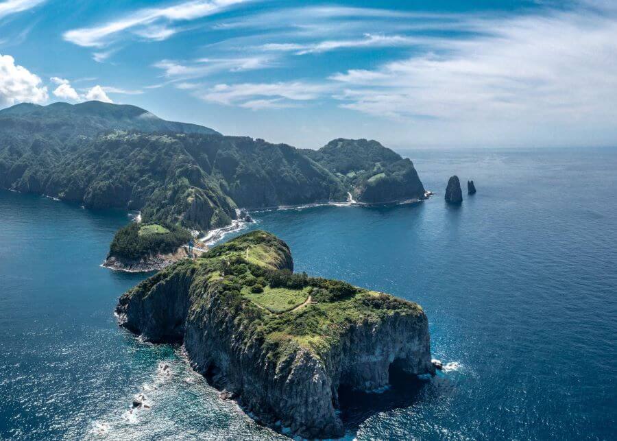 Không chỉ có cảnh quan hùng vĩ, Ulleungdo còn sở hữu hệ sinh thái đa dạng và phong phú
