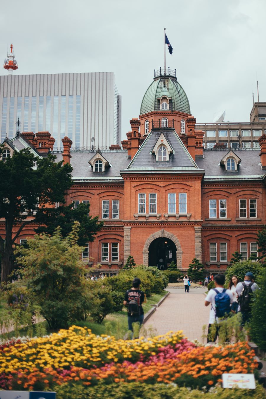 Hokkaido mùa hè - Bức tranh rực rỡ giữa lòng nước Nhật