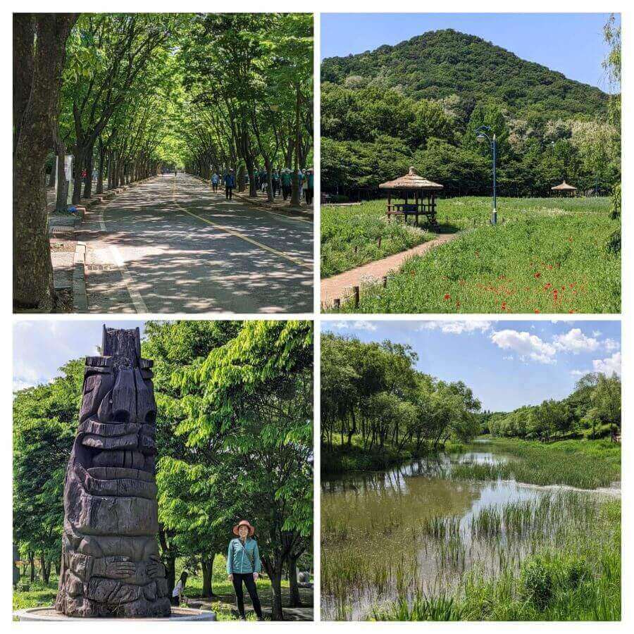 Công viên Grand Incheon là một ốc đảo xanh với những hàng cây xanh mát, những hồ nước trong veo và những con đường mòn uốn lượn