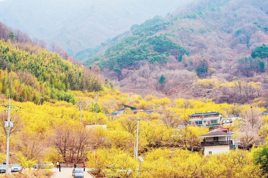 Với diện tích rộng lớn, Công viên sinh thái Sorae là điểm vui chơi, thư giãn lý tưởng cho người dân địa phương và du khách