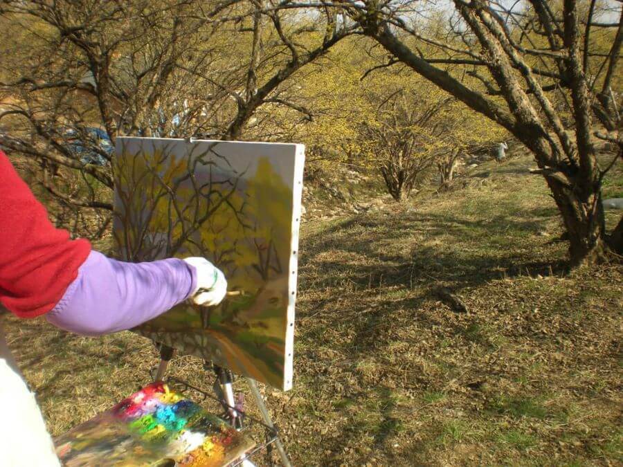 Với diện tích rộng lớn, Vườn Bách Thảo Incheon là một không gian xanh mát để thư giãn và tận hưởng vẻ đẹp của thiên nhiên