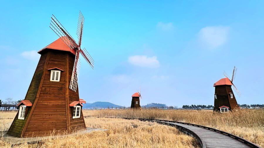 Công viên sinh thái Sorae chính là điểm đến lý tưởng dành cho bạn trong chuyến du lịch Hàn Quốc thú vị này