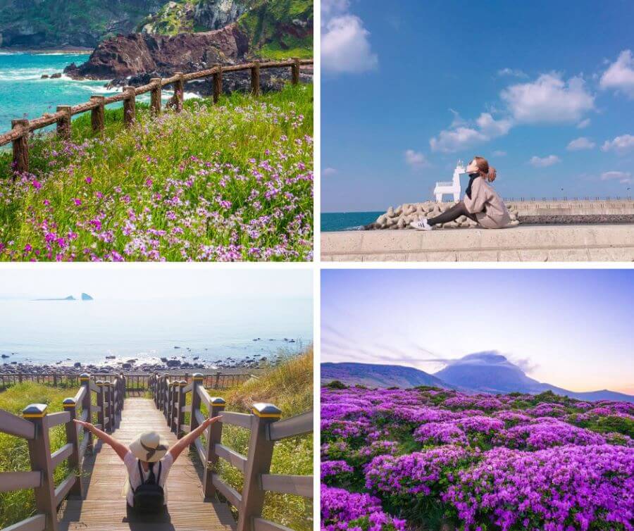 Du lịch Jeju tháng 4 với cảnh quan thiên nhiên tuyệt đẹp