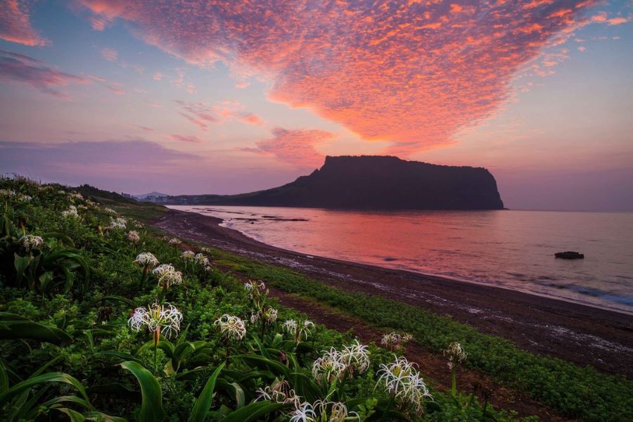Ngắm hoàng hôn siêu lãng mạn tại Seongsan Ilchulbong là một trải nghiệm thú vị không nên bỏ qua