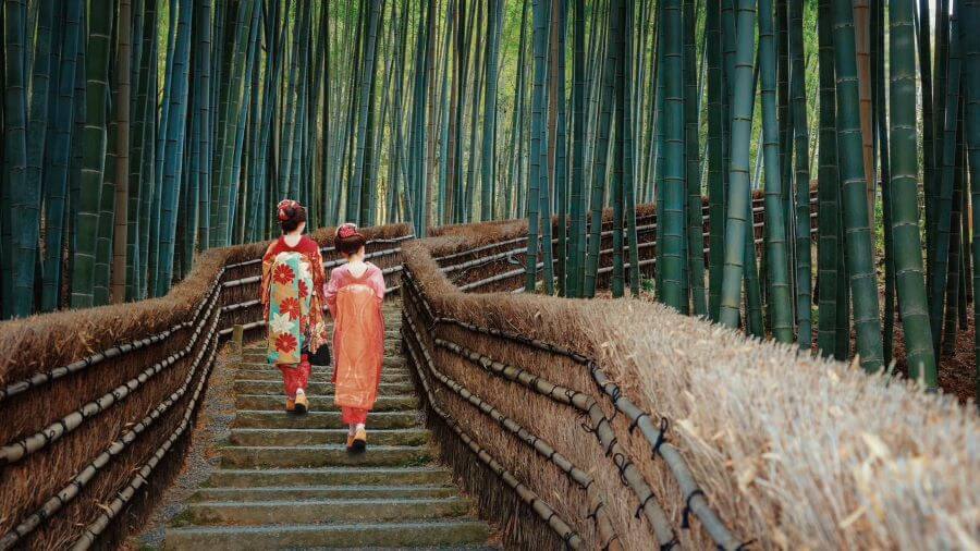 Dạo bước trong rừng tre Arashiyama là một trải nghiệm khó quên và đầy thú vị mà bất cứ ai đến Kyoto cũng nên thử