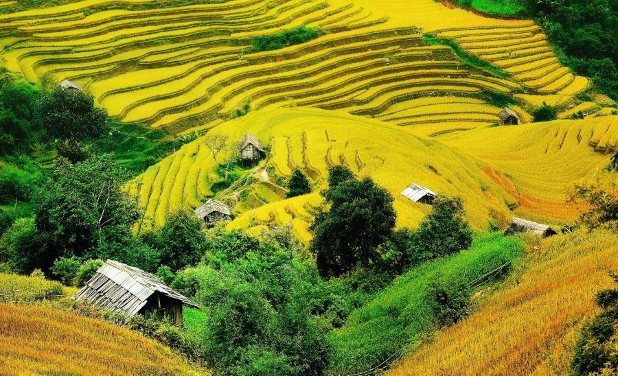 Ngắm mùa thu lung linh sắc màu ở miền Bắc nước ta