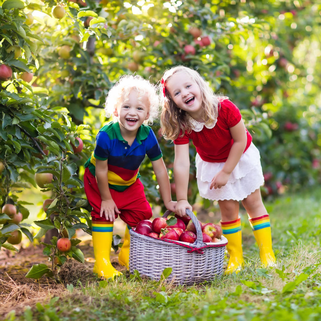 Du lịch Nga dừng chân tại "thiên đường" táo đỏ tại Matxcova