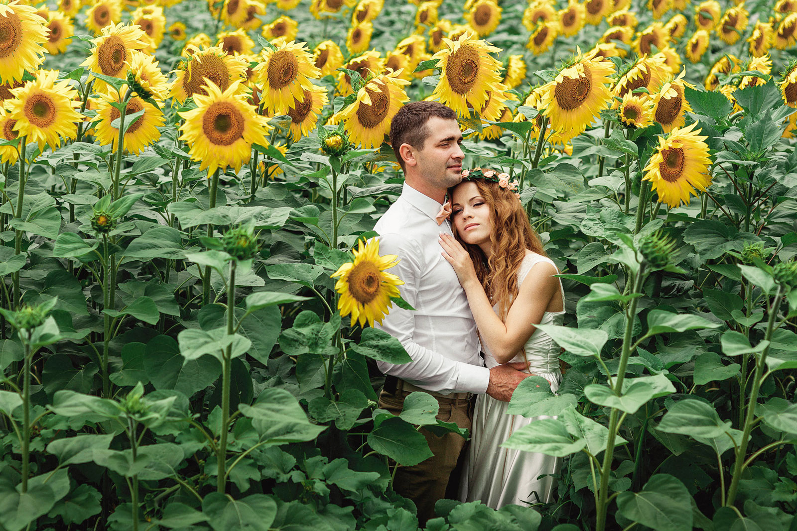 Du lịch Nhật Bản chiêm ngưỡng hoa hướng dương khoe sắc