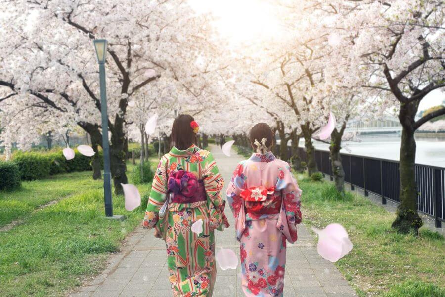Việc thuê kimono và chụp ảnh dưới tán hoa anh đào đã trở thành một hoạt động phổ biến đối với du khách tại Nhật Bản