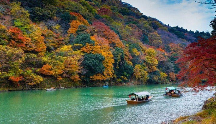 Những chiếc thuyền đang chở các du khách đi ngắm cảnh trên sông Hozu
