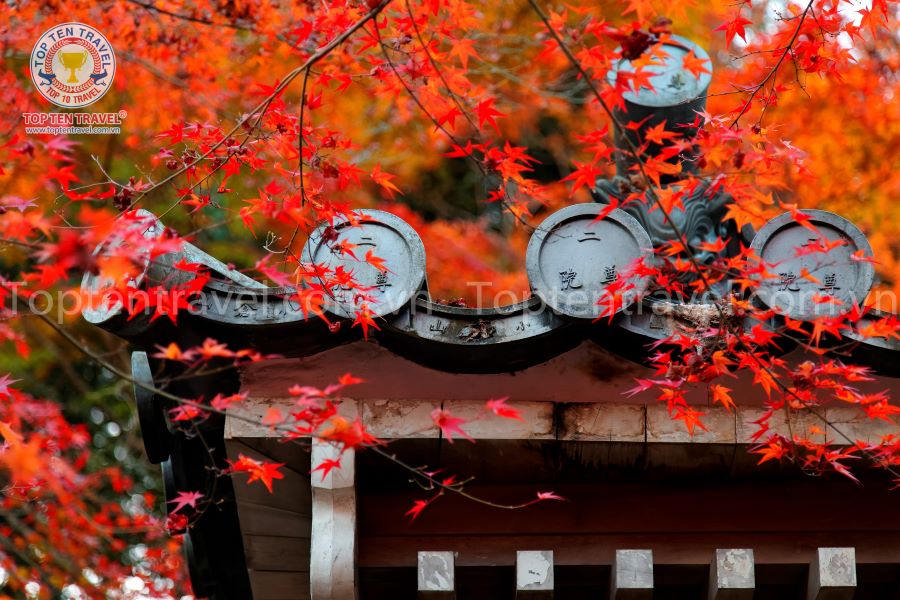 Khung cảnh Nhật bản mùa thu vô cùng ấn tượng