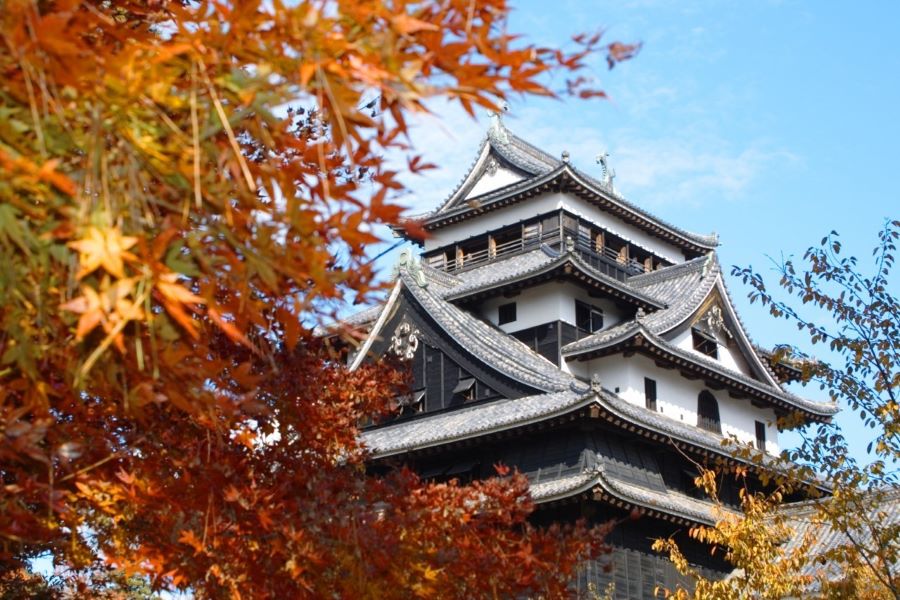 Khám phá thành Matsue (tỉnh Shimane)