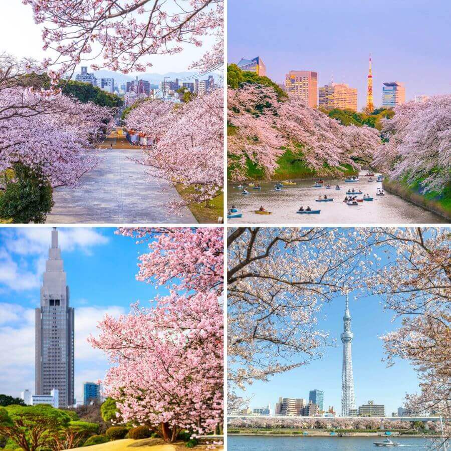 Tokyo, thủ đô của Nhật Bản, là điểm đến không thể bỏ qua cho chuyến du lịch Nhật Bản tháng 3