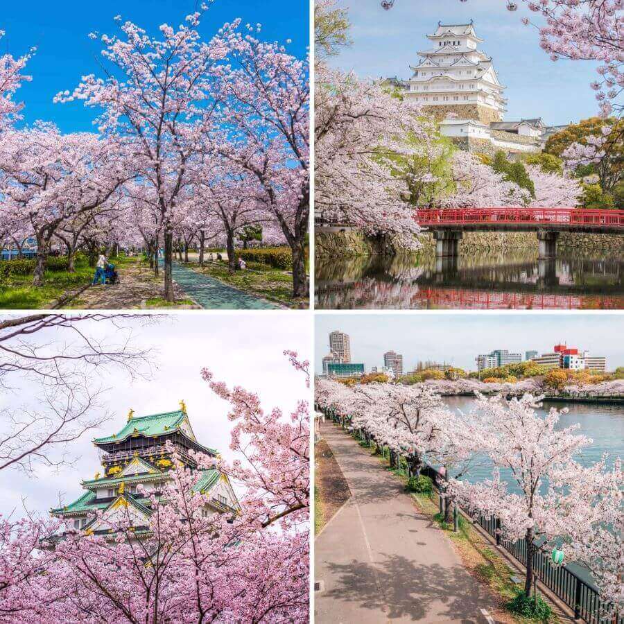 Osaka cũng là một điểm đến thú vị cho chuyến du lịch Nhật Bản tháng 3