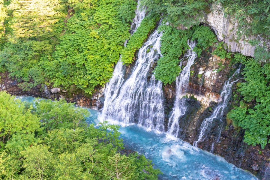 Tháng 6, Hokkaido khoác lên mình tấm áo xanh mát đầy sức sống vô cùng tươi mới, đầy sức quyến rũ