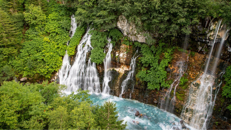 Thác Shirahige không chỉ là điểm tham quan lý tưởng để du khách ngắm cảnh mà còn là nơi lý tưởng để thư giãn và nghỉ ngơi