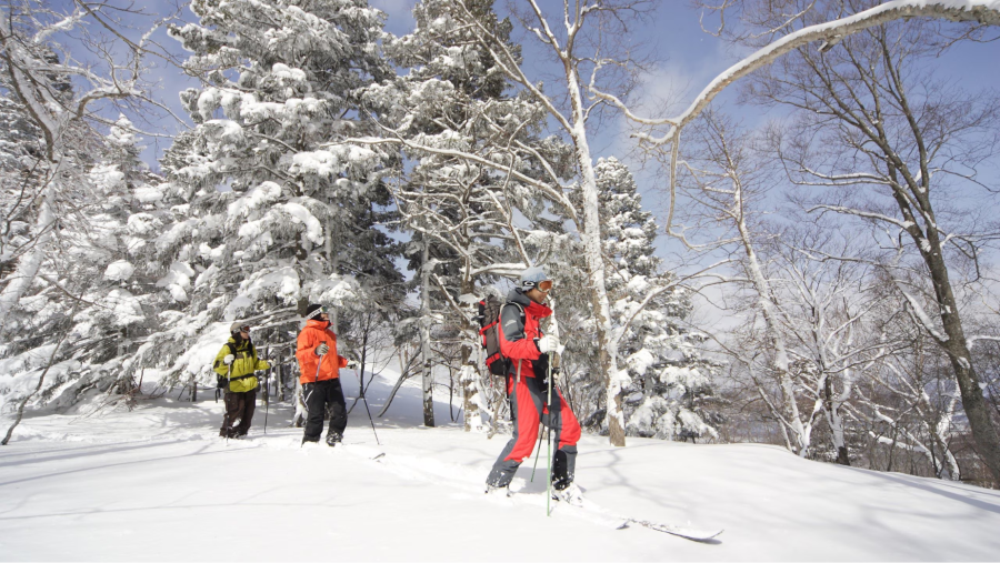 Appi Kogen được bao quanh bởi những ngọn núi hùng vĩ và rừng thông xanh ngát, tạo nên một khung cảnh thiên nhiên tuyệt đẹp