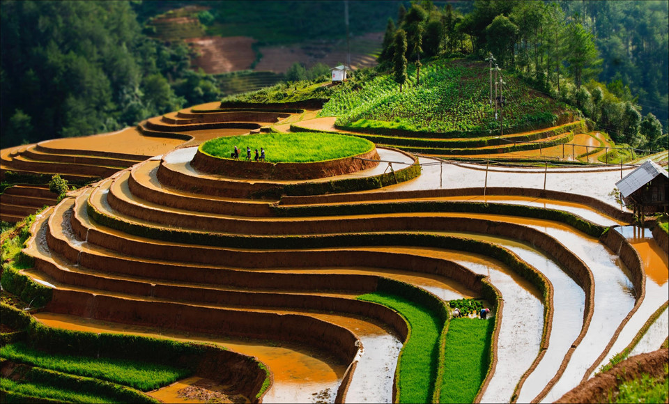 Du lịch Sapa tháng 3 có gì hấp dẫn? 