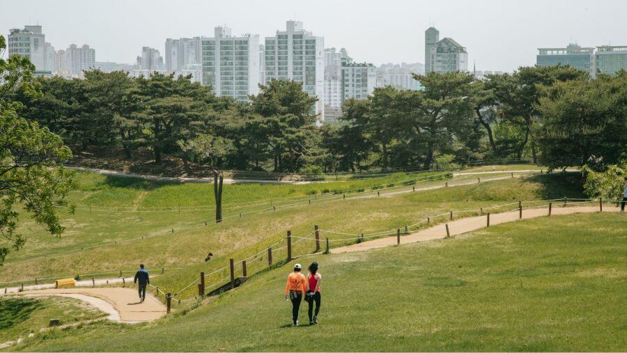 Tận hưởng không gian xanh tại các công viên là một trải nghiệm hoàn toàn miễn phí nhưng vô cùng thư giãn tại Hàn