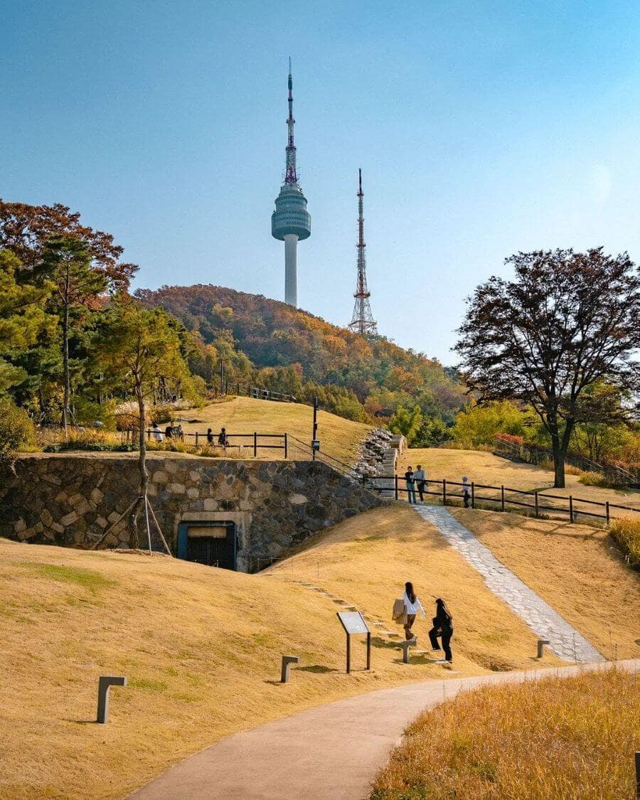 Dạo bước giữa không gian xanh mát của công viên Namsan là một trải nghiệm hoàn toàn miễn phí mà bạn không nên bỏ qua