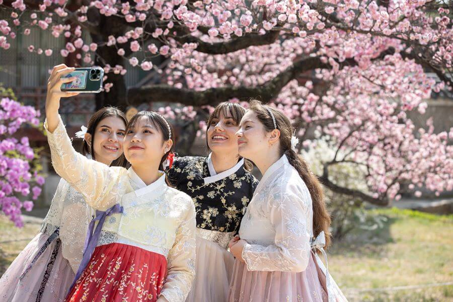 Cung điện Changdeokgung là một điểm đến lý tưởng cho chuyến du lịch Seoul mùa hoa anh đào yên bình và trọn vẹn