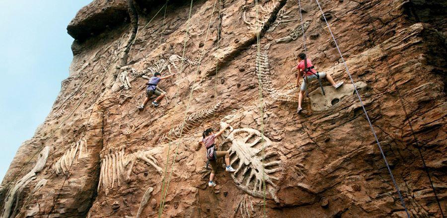 Tường đá leo núi với những bộ xương hóa thạch vô cùng mới lạ