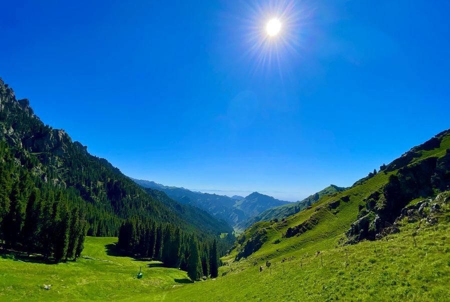 Những dải đồi xanh màu nắng tại Tân Cương vào mùa hè