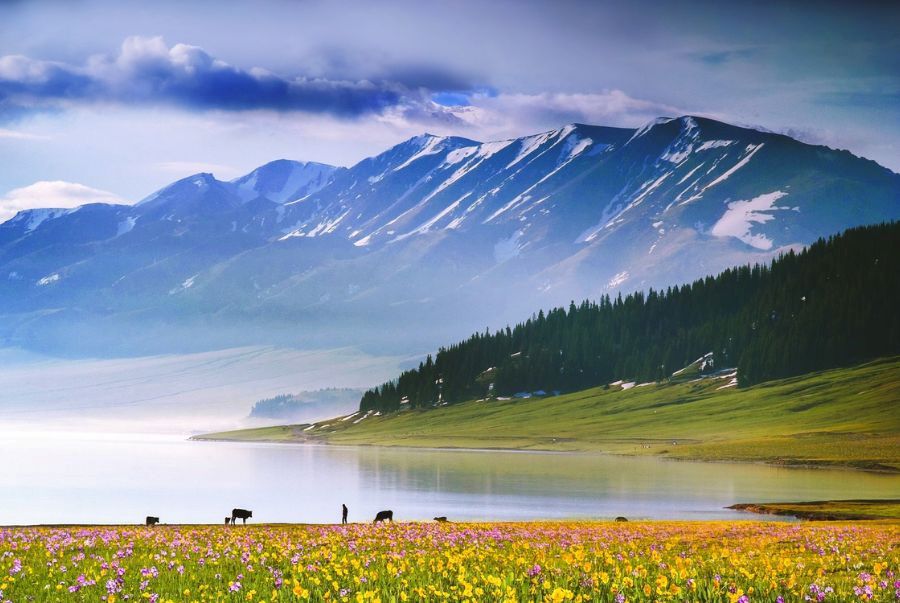 Sự kết hợp giữa thời tiết và thảm thực vật đã tạo nên một Tân Cương quyến rũ trong sắc xuân