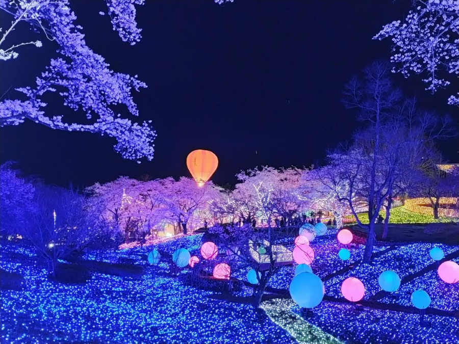 Lễ hội ánh sáng là một trong những sự kiện được mong chờ nhất khi Nhật Bản vào đông