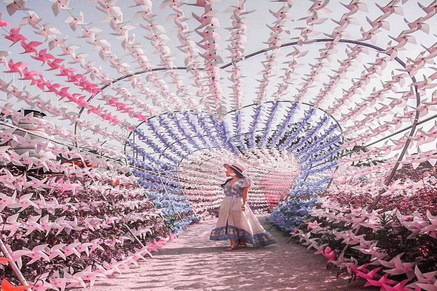 Đường hầm chong chóng trong truyền thuyết ngay giữa Đà Lạt