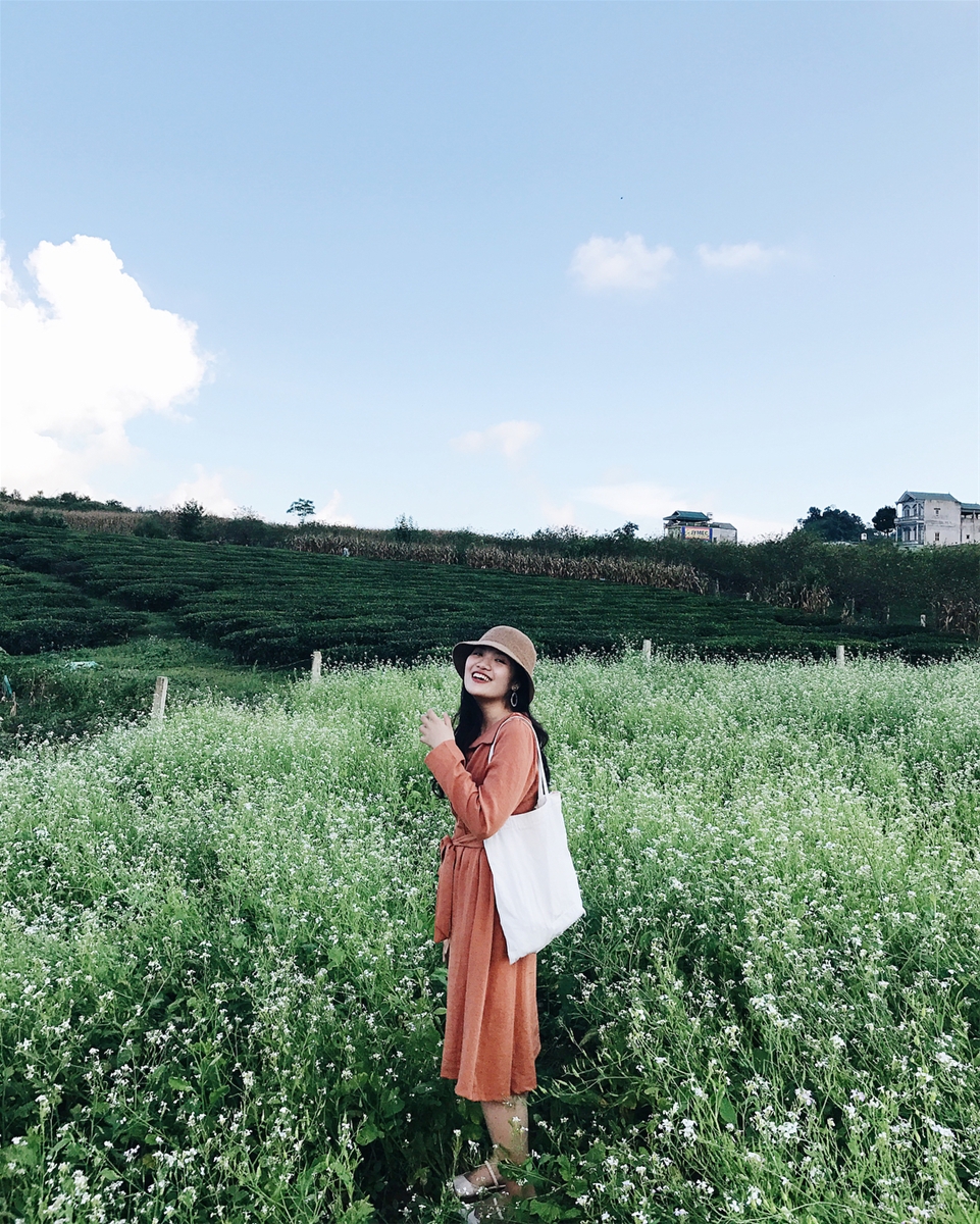 Ghé thăm Mộc Châu chiêm ngưỡng cánh đồng hoa cải trắng