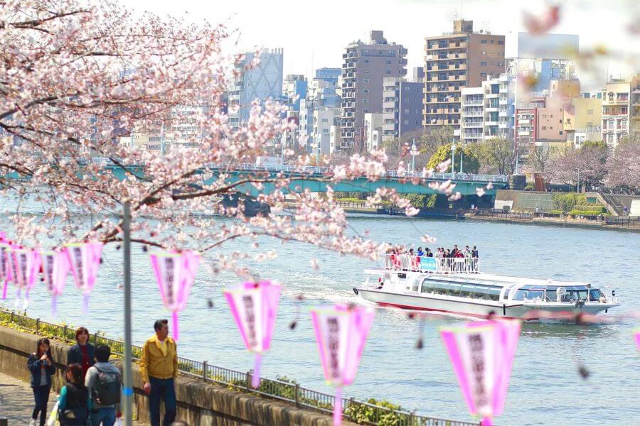 Vào mùa hoa anh đào nở rộ, công viên Sumida trở nên vô cùng nhộn nhịp với rất nhiều hoạt động và lễ hội