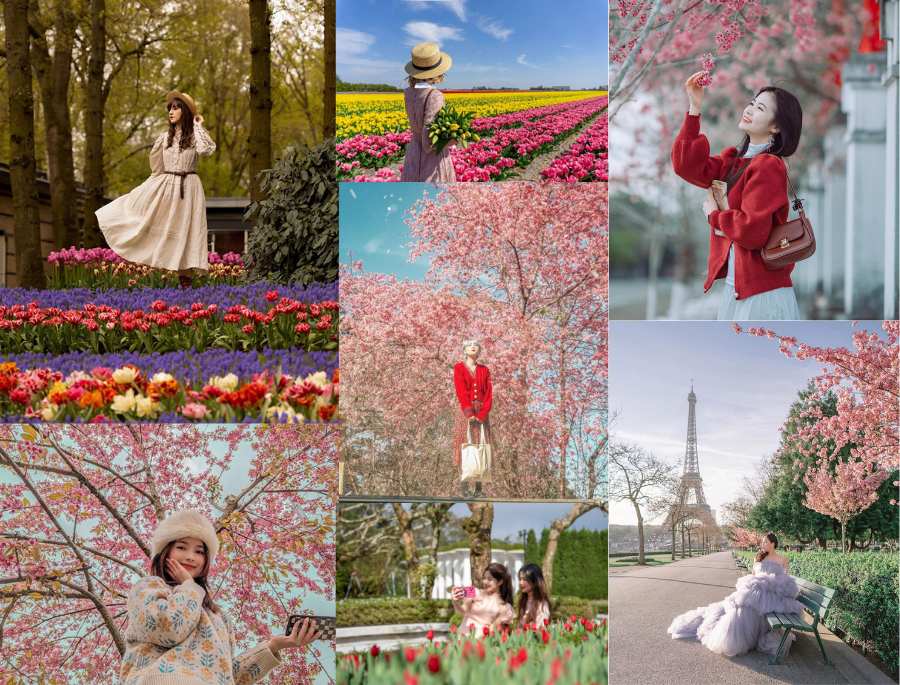 Khung cảnh rực rỡ của Châu Âu mỗi khi mùa xuân gõ cửa