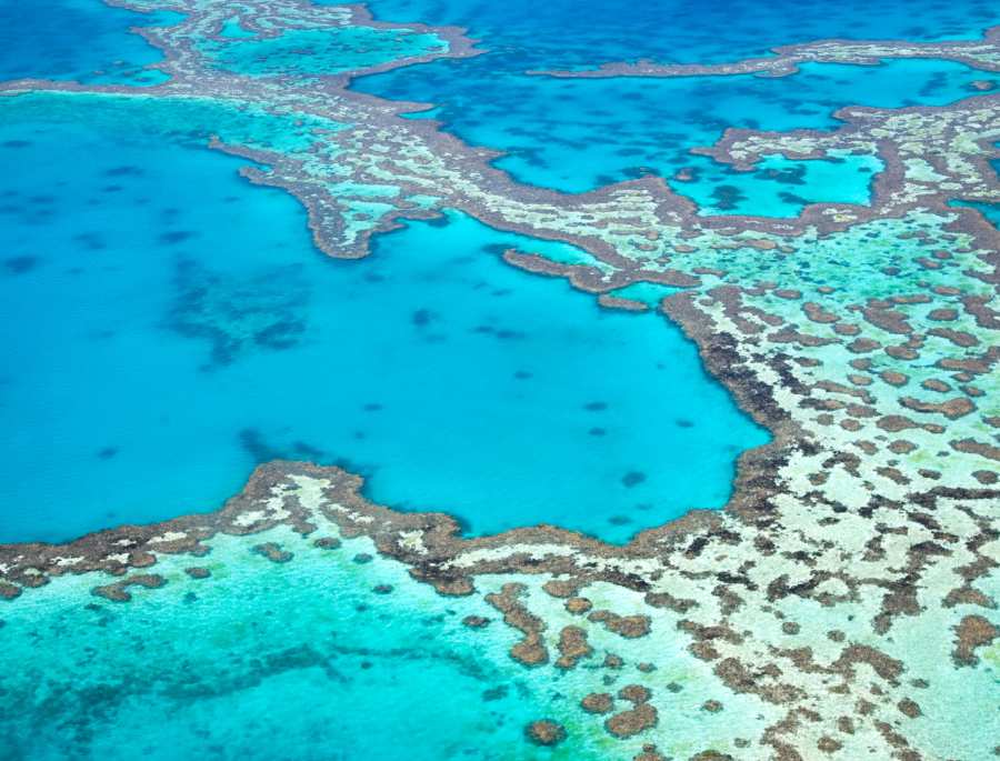 Toàn cảnh thiên đường Great Barrier Reef vào mùa hè vô cùng xinh đẹp