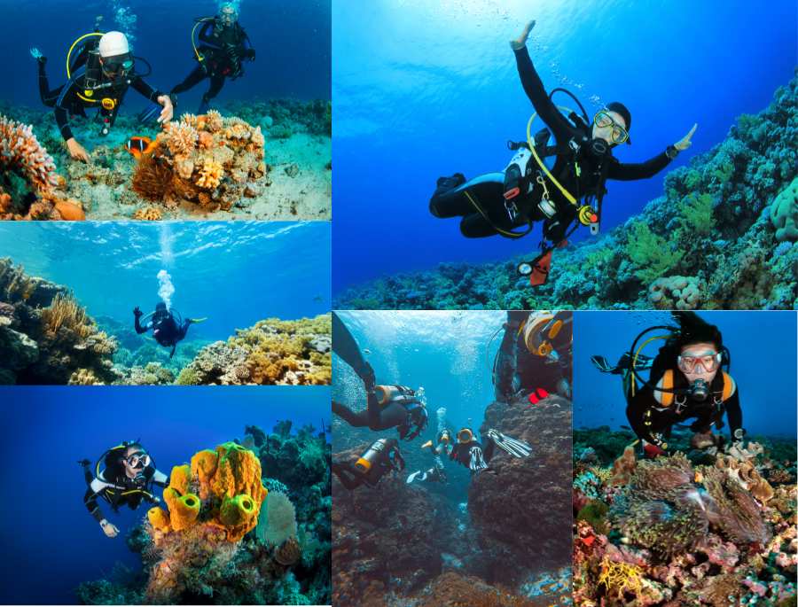 Lặn biển ngắm san hô là hoạt động phổ biến nhất tại đây