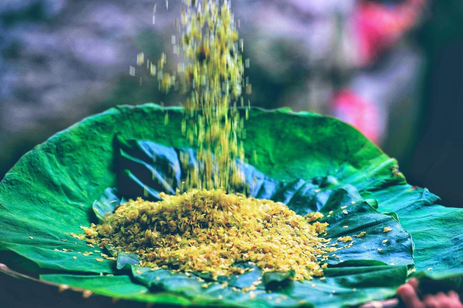 Dạo quanh con đường đầy đặc sản mùa thu Hà Nội