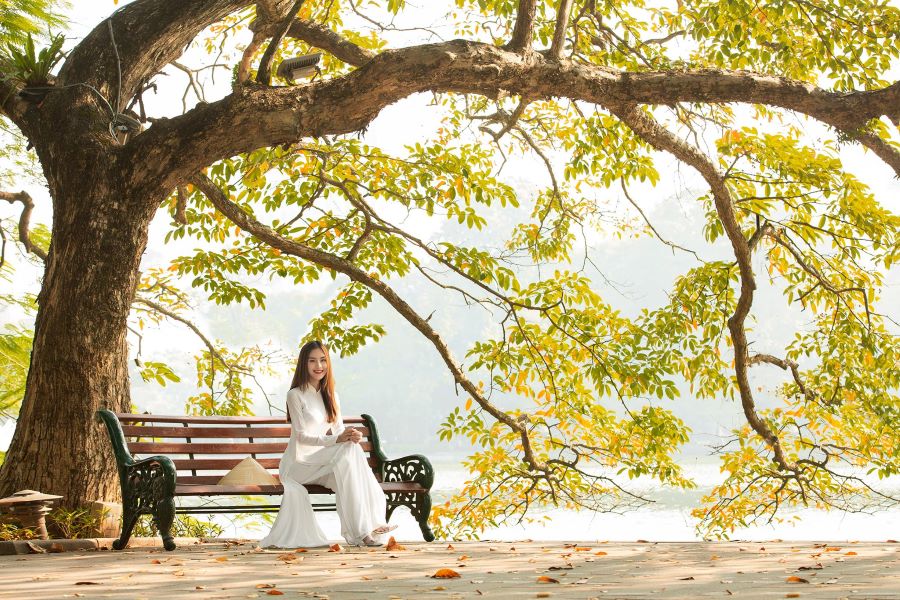 Hà Nội - Những con đường rợp lá vàng bay