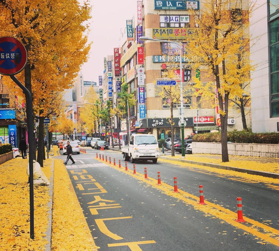 Hàn Quốc luôn là điểm đến mơ ước của biết bao du khách