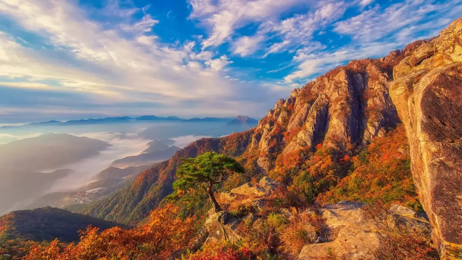 Daedunsan vào mùa thu như khoác lên mình một tấm áo mới với những sắc vàng, đỏ rực rỡ của lá cây