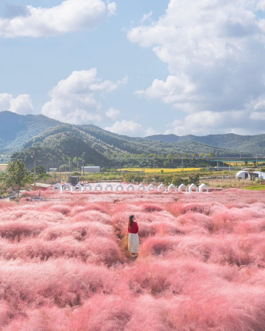 Công viên Haneul được xem là một trong những điểm đến không thể bỏ qua