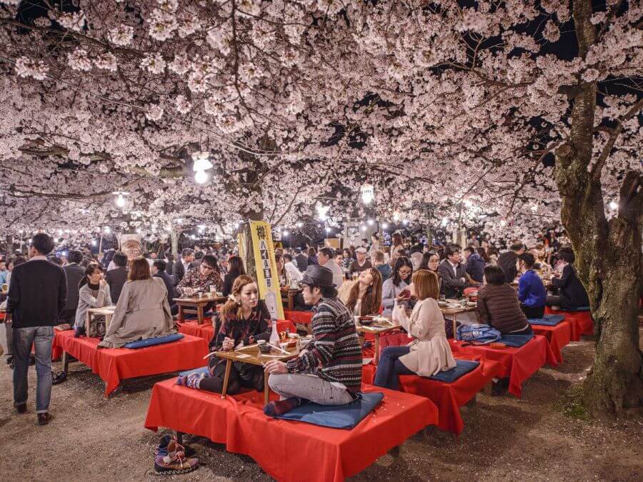 Lễ hội Hanami vẫn là một phần quan trọng trong văn hóa Nhật Bản