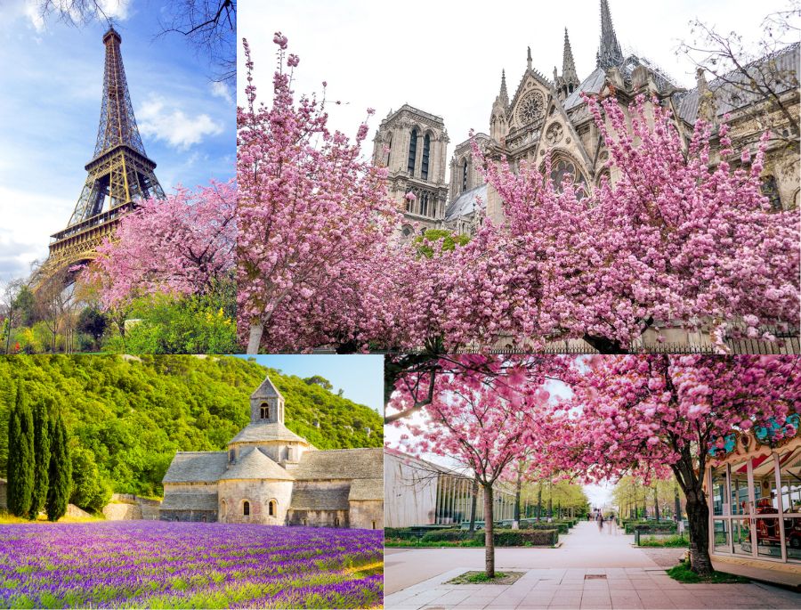 Khung cảnh rực rỡ của nước Pháp mỗi khi mùa xuân về