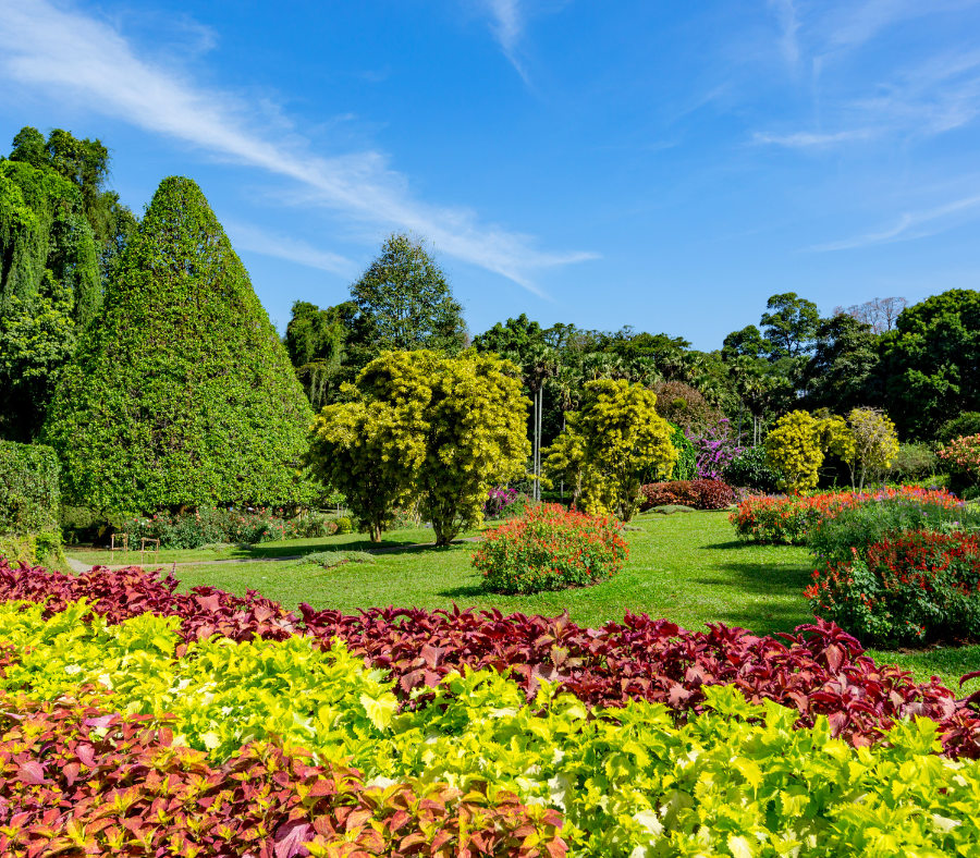 Khu vườn thực vật sở hữu các khu vực chủ đề khác nhau vô cùng thú vị