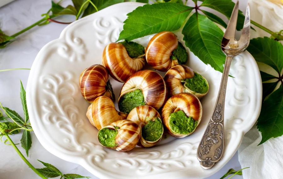 Escargot - Một trong những món ăn ngon tại Pháp vô cùng nổi tiếng