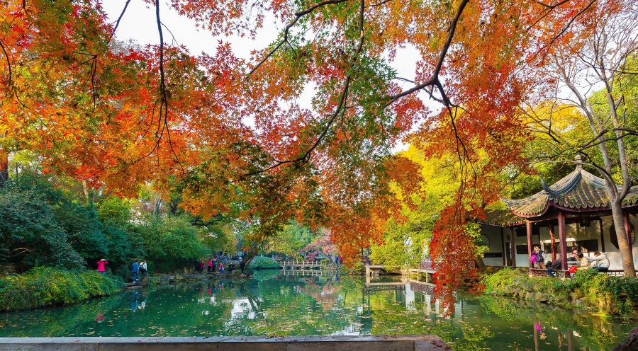 Mùa thu là thời điểm thích hợp nhất để ghé thăm Tô Châu