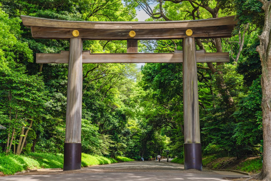 Meiji Jingu là một điểm đến không thể bỏ qua khi đi du lịch Nhật Bản