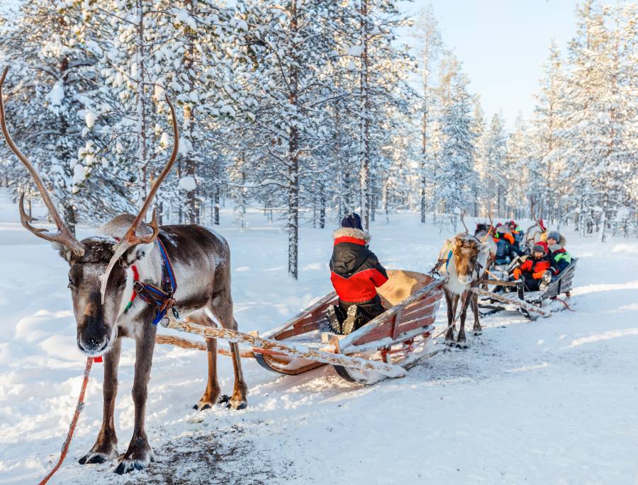 Khung cảnh tựa thế giới cổ tích của lapland mỗi khi mùa đông gõ cửa