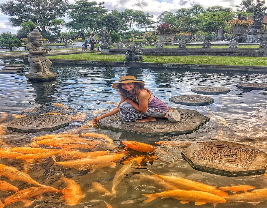 Hồ cá chép ở Bali